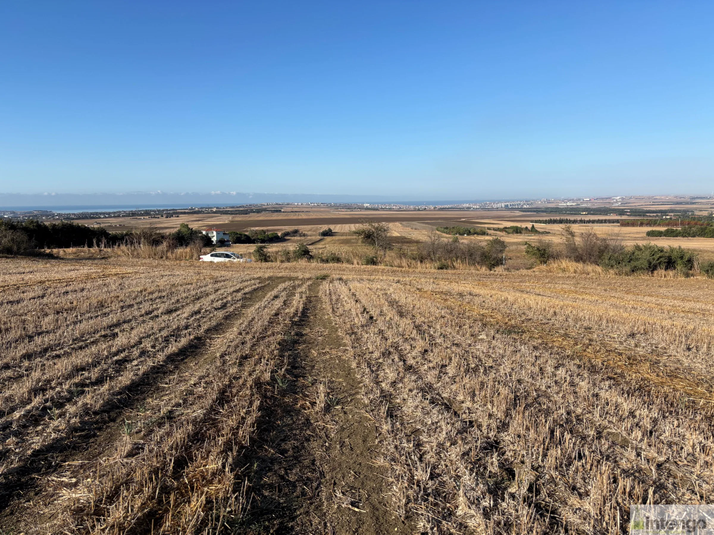 The Silivri Gazitepe field under a clear sky, from the seller’s listing